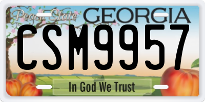 GA license plate CSM9957