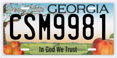 GA license plate CSM9981