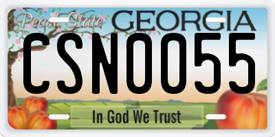 GA license plate CSN0055