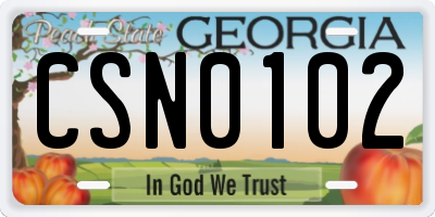 GA license plate CSN0102