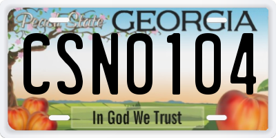 GA license plate CSN0104