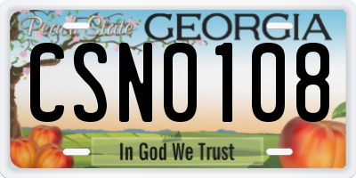 GA license plate CSN0108