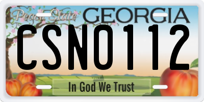 GA license plate CSN0112