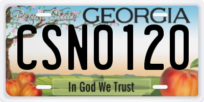GA license plate CSN0120