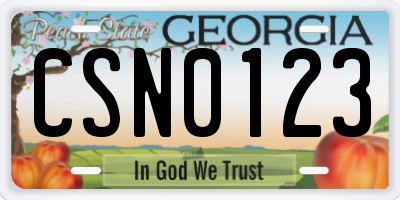 GA license plate CSN0123