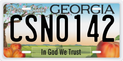 GA license plate CSN0142