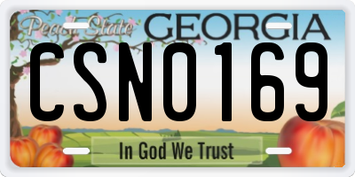 GA license plate CSN0169