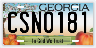 GA license plate CSN0181