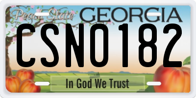 GA license plate CSN0182