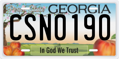 GA license plate CSN0190