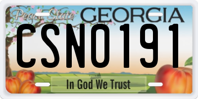 GA license plate CSN0191
