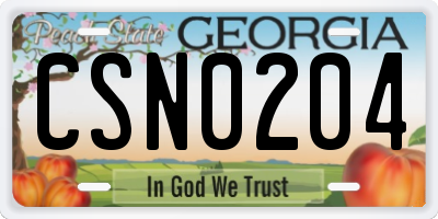 GA license plate CSN0204