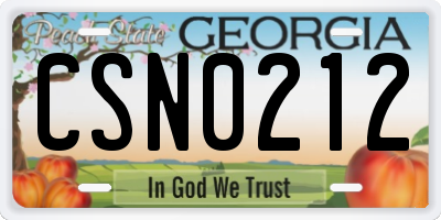 GA license plate CSN0212