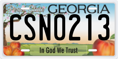 GA license plate CSN0213