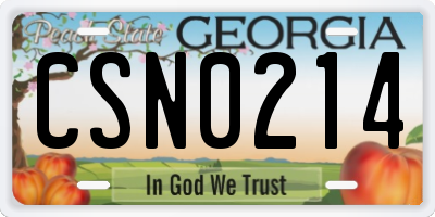 GA license plate CSN0214