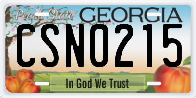 GA license plate CSN0215