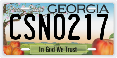 GA license plate CSN0217