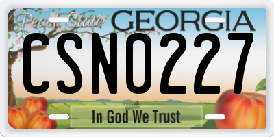 GA license plate CSN0227