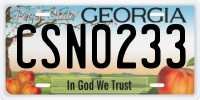 GA license plate CSN0233