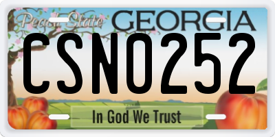 GA license plate CSN0252