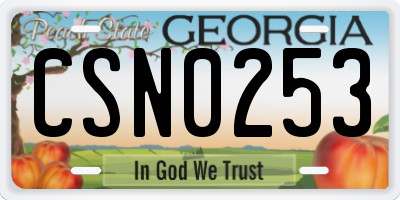 GA license plate CSN0253