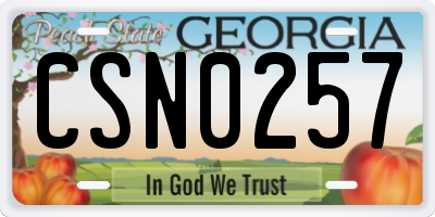 GA license plate CSN0257