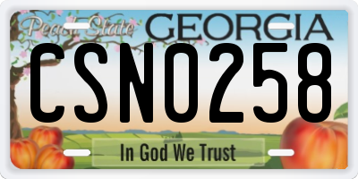 GA license plate CSN0258