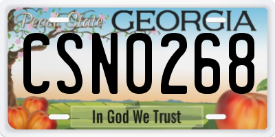 GA license plate CSN0268