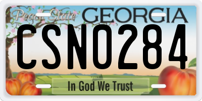 GA license plate CSN0284