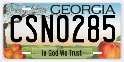 GA license plate CSN0285