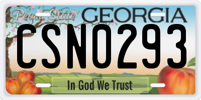GA license plate CSN0293