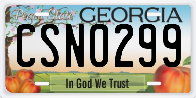 GA license plate CSN0299