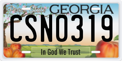 GA license plate CSN0319