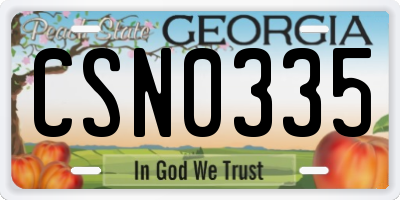 GA license plate CSN0335