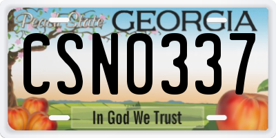 GA license plate CSN0337