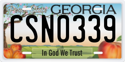 GA license plate CSN0339