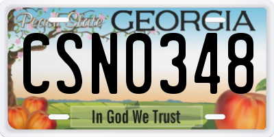 GA license plate CSN0348