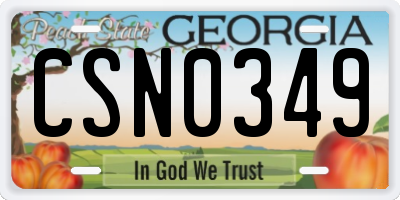 GA license plate CSN0349