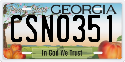 GA license plate CSN0351
