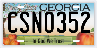 GA license plate CSN0352