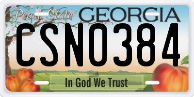 GA license plate CSN0384