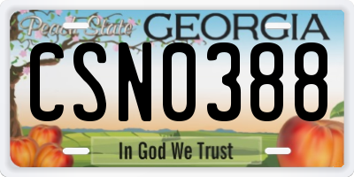 GA license plate CSN0388