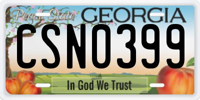 GA license plate CSN0399