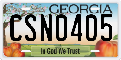 GA license plate CSN0405