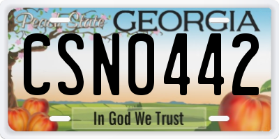 GA license plate CSN0442