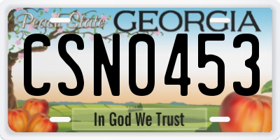 GA license plate CSN0453