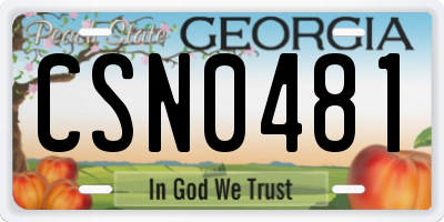 GA license plate CSN0481