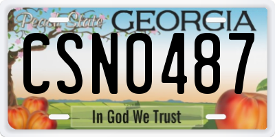 GA license plate CSN0487
