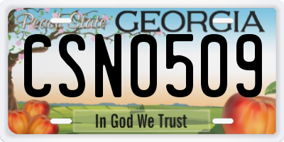 GA license plate CSN0509