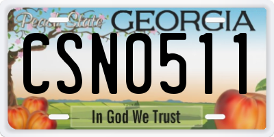 GA license plate CSN0511